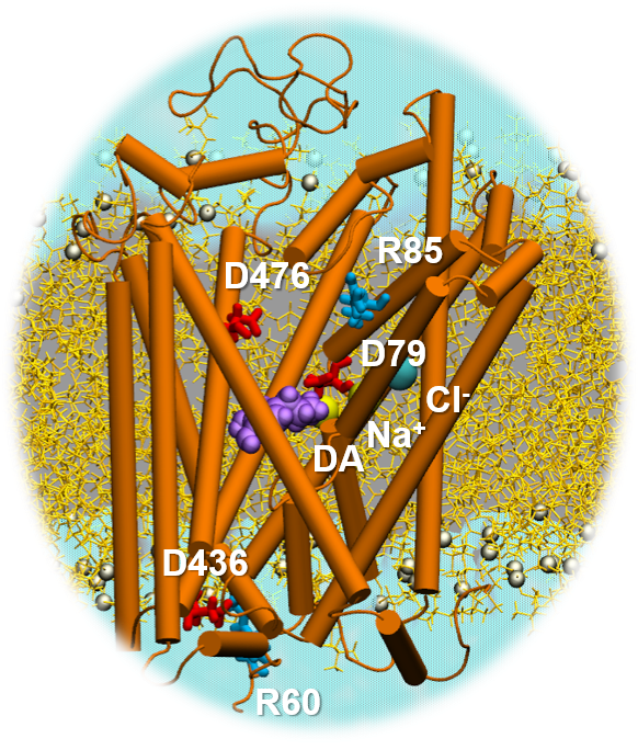 distancecell